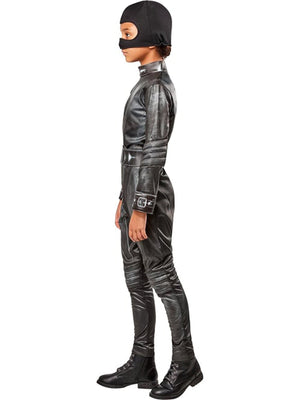 Catwoman, The Batman, Batman, The Batman, Multi, WB DC Comics, Kids Costumes, , Side