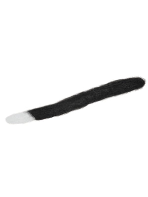 Cat, Black, Forum, Accessories, One Size, Front