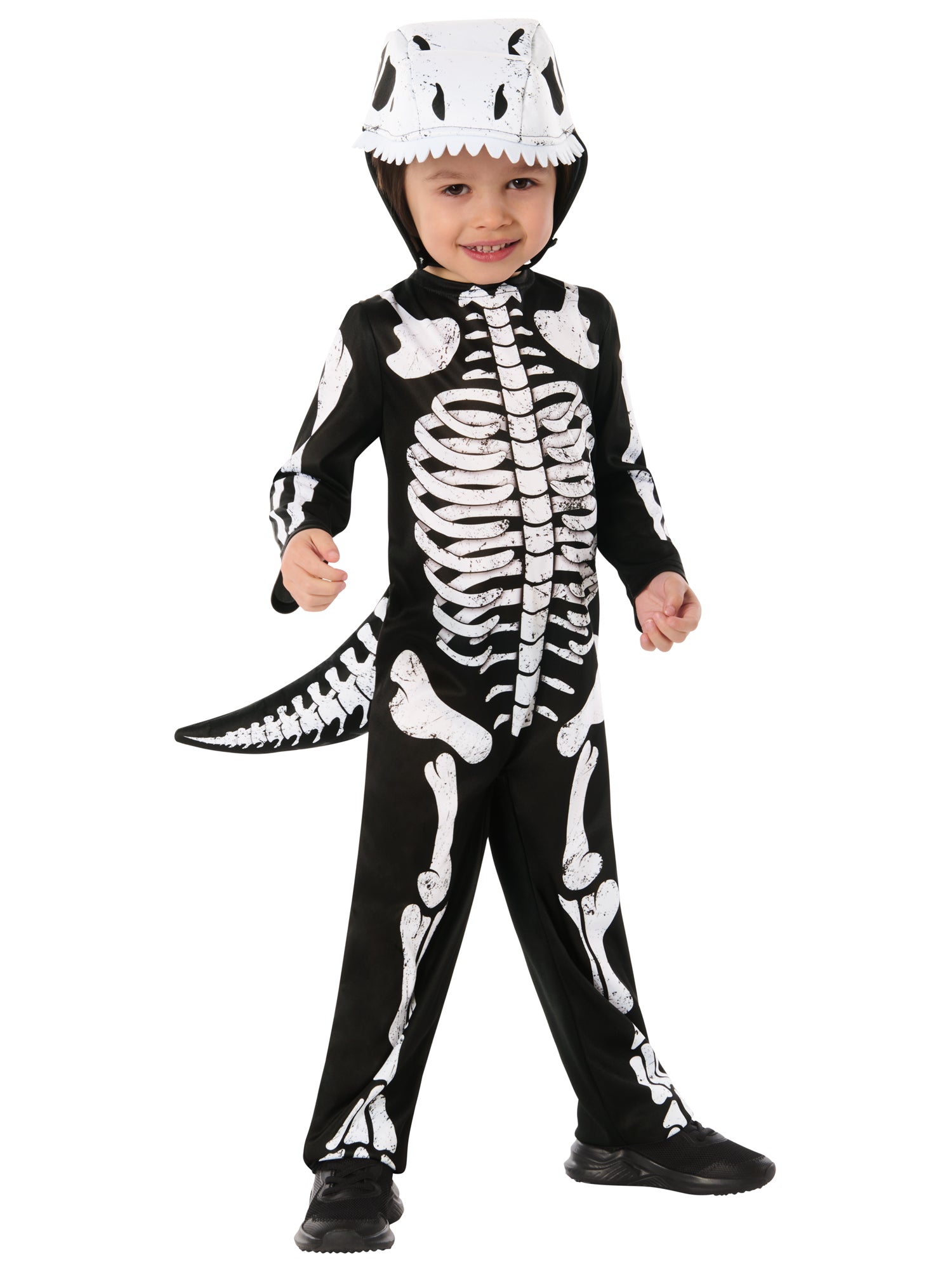 Skeleton Dinosaur