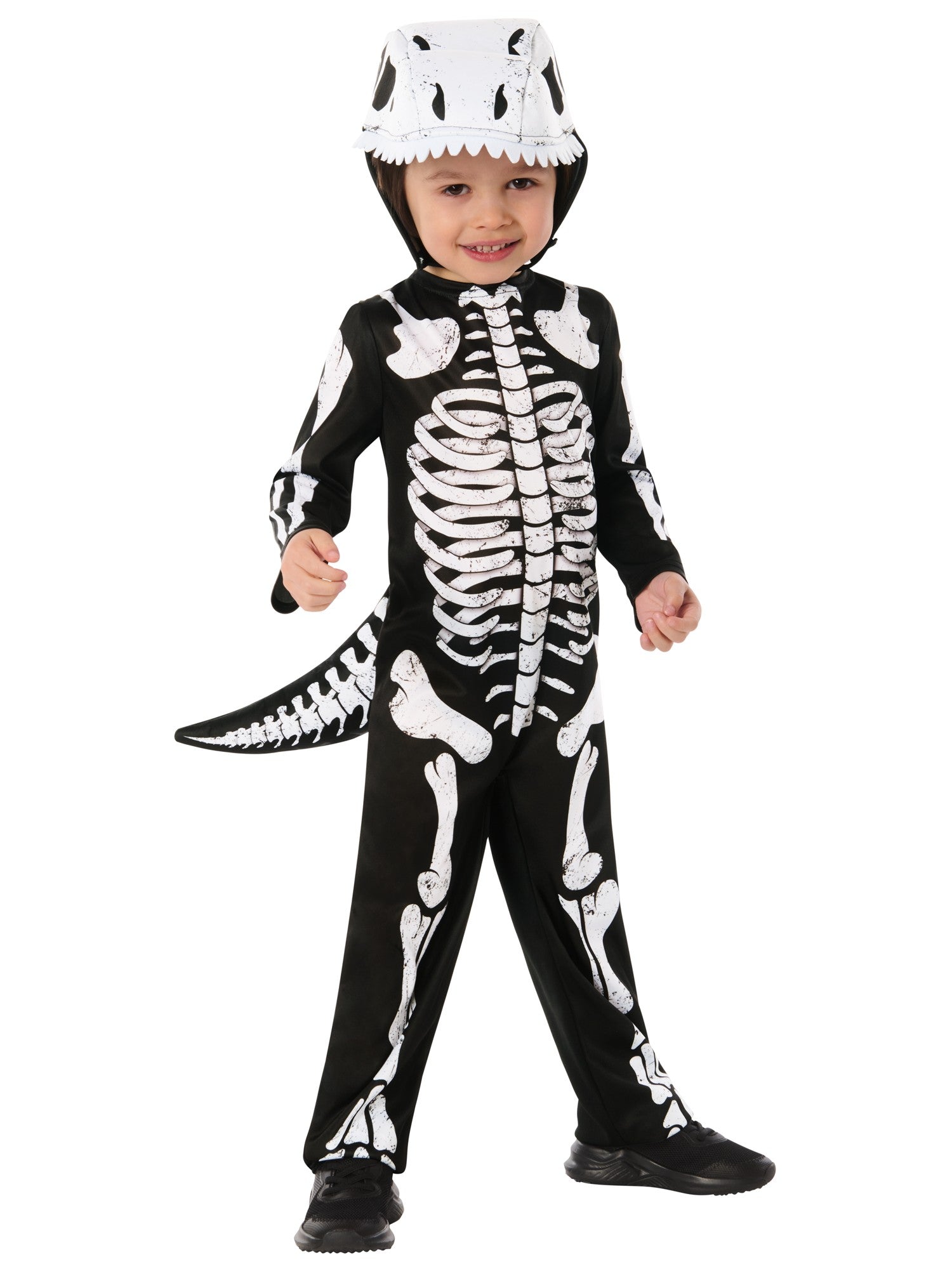 Skeleton Dinosaur