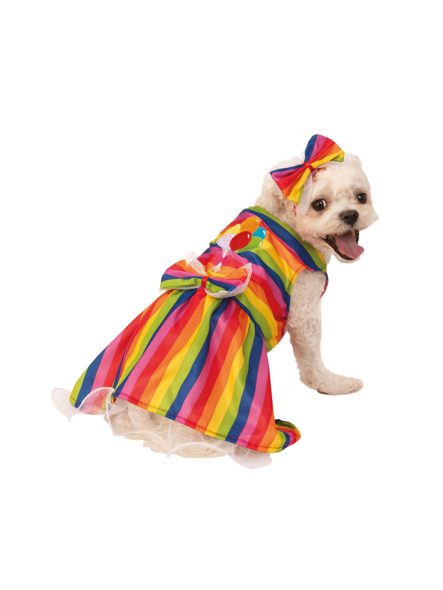 Rainbow Party
