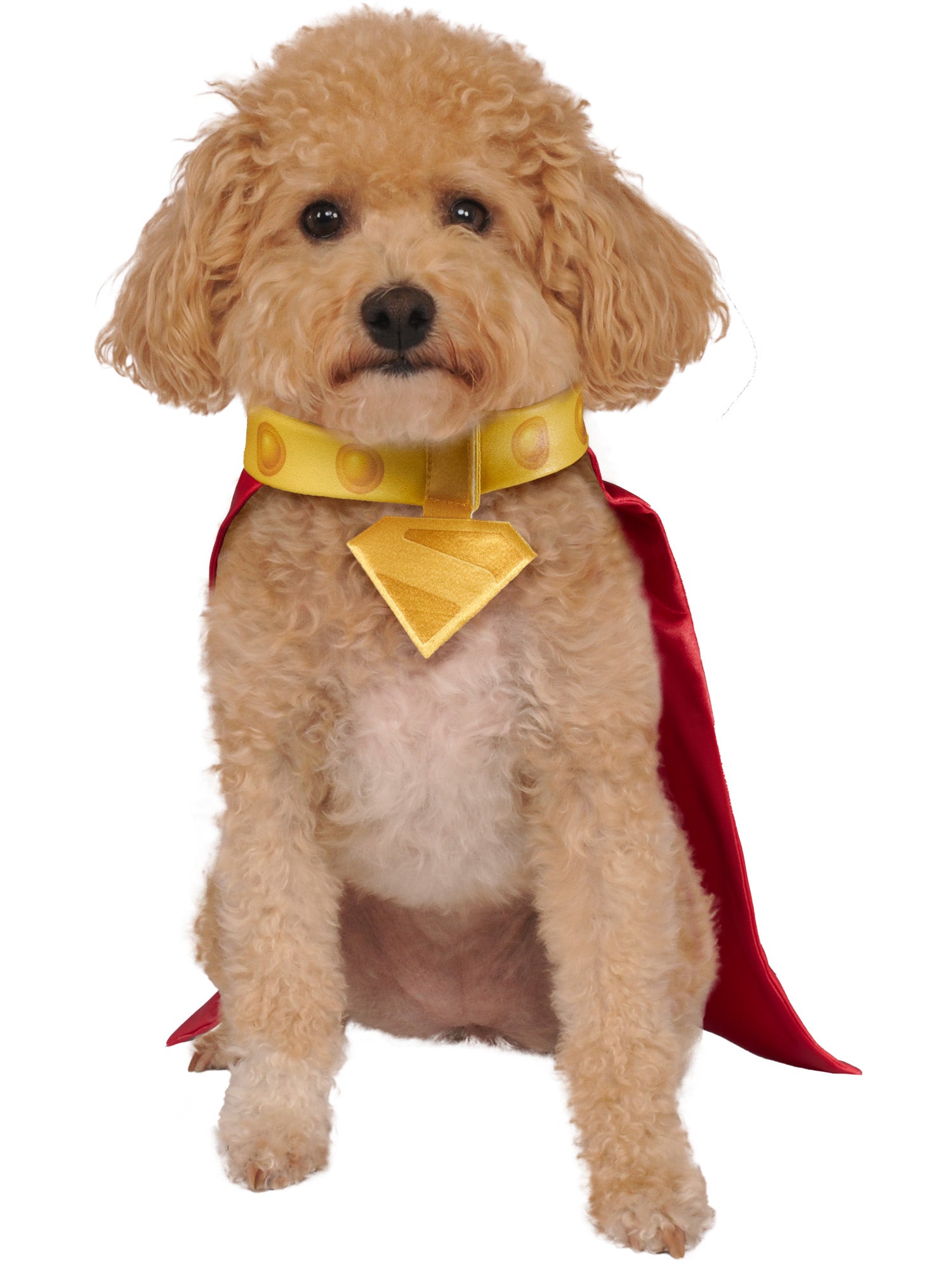 Krypto Pet Cape and Collar