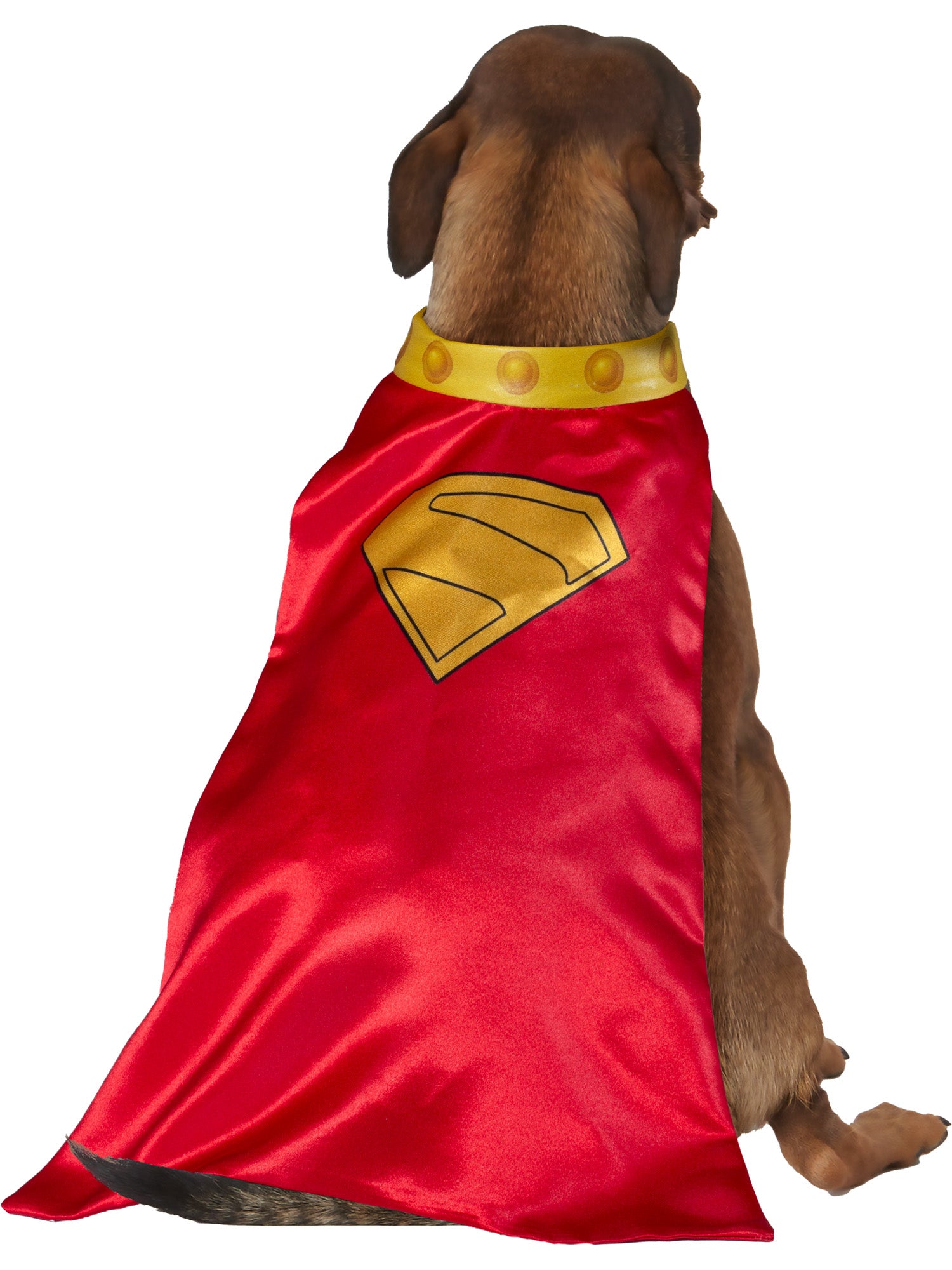 Krypto Pet Cape and Collar