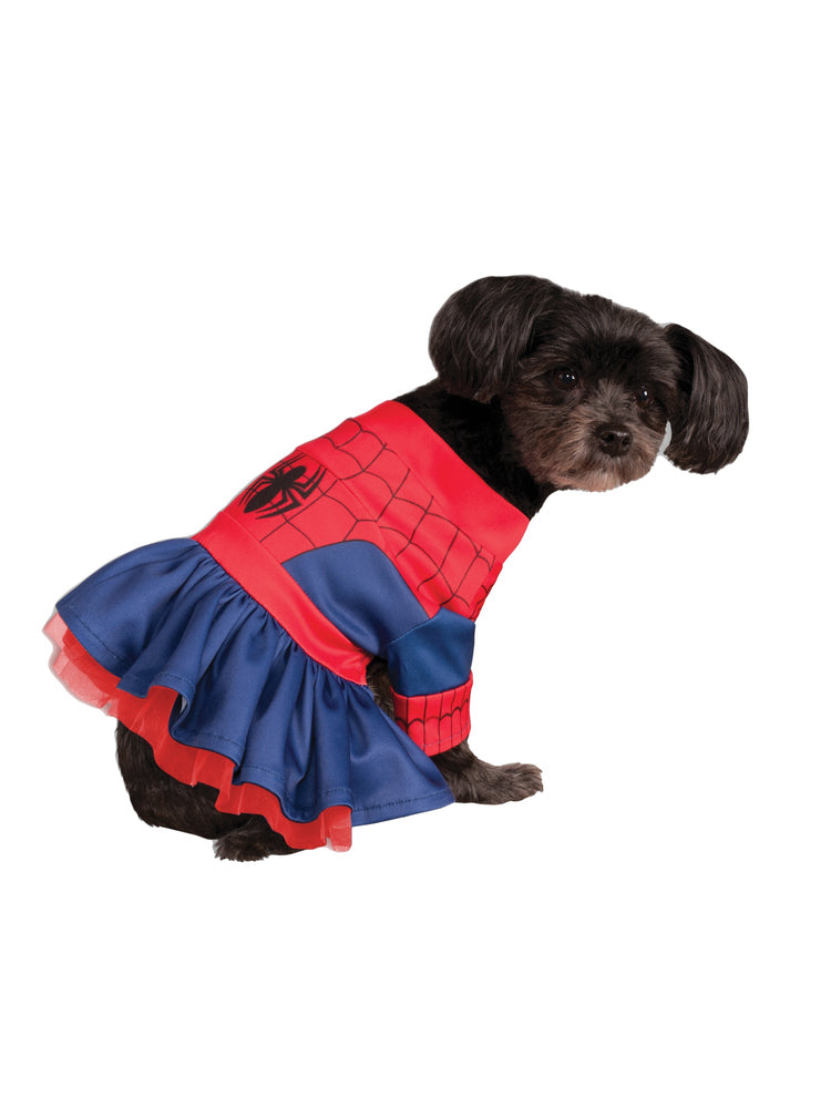 Spider-Girl, Spider-Man, Multi, Disney - Marvel, Pet Costumes, Large, Front