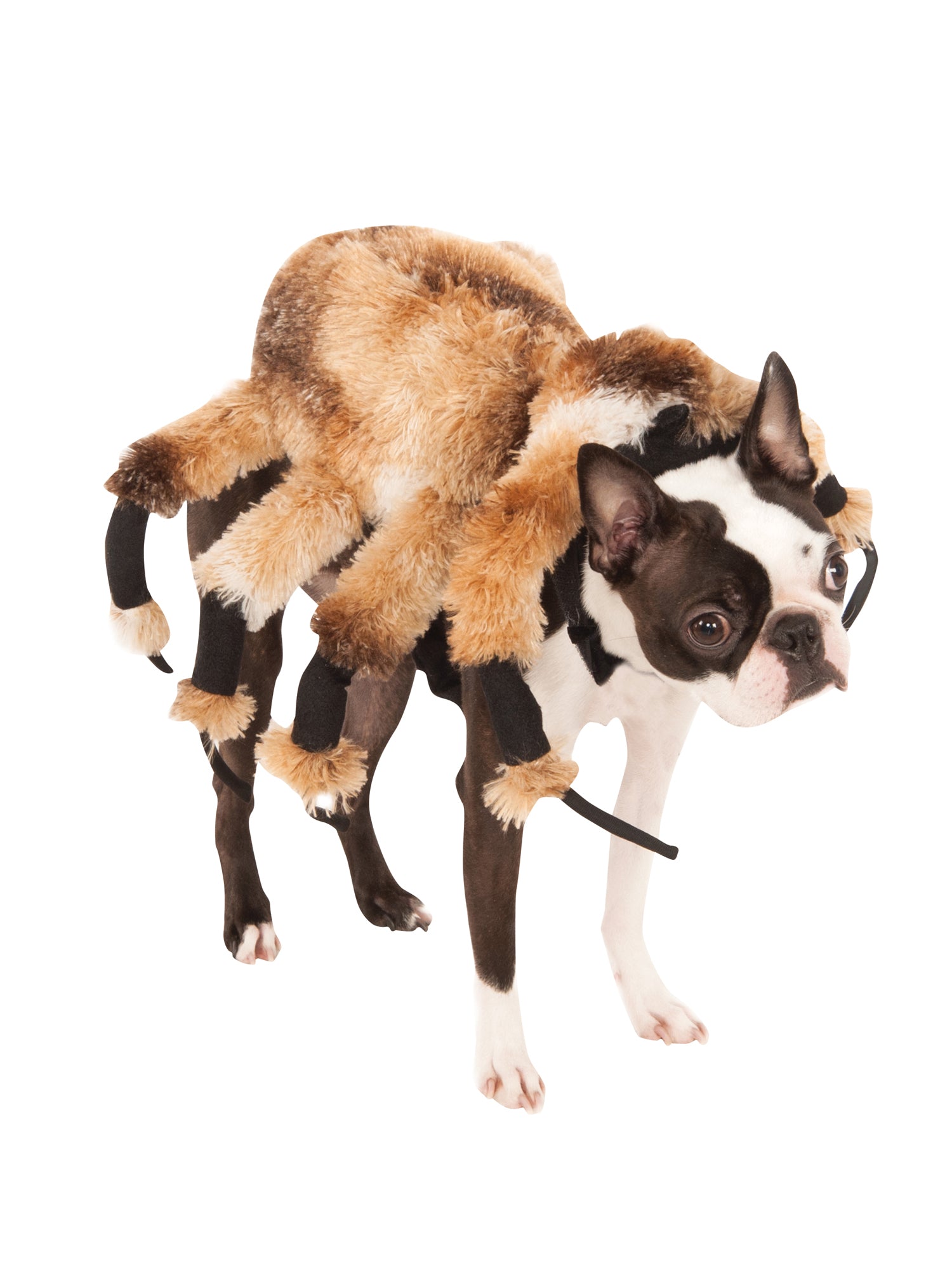 Giant Spider Pet Costume