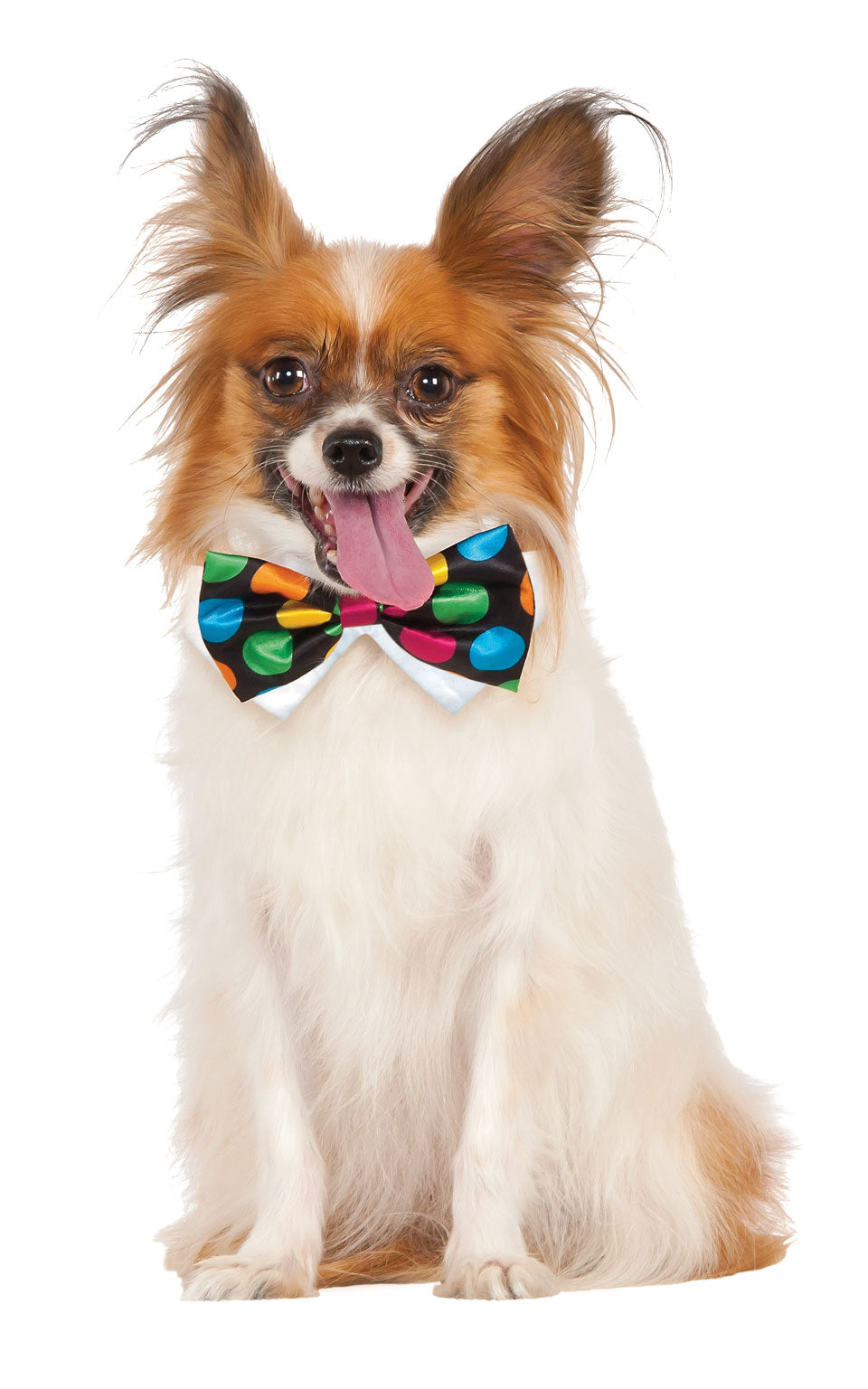 Bowtie, Multi, Forum, Pet Costumes, Medium, Front