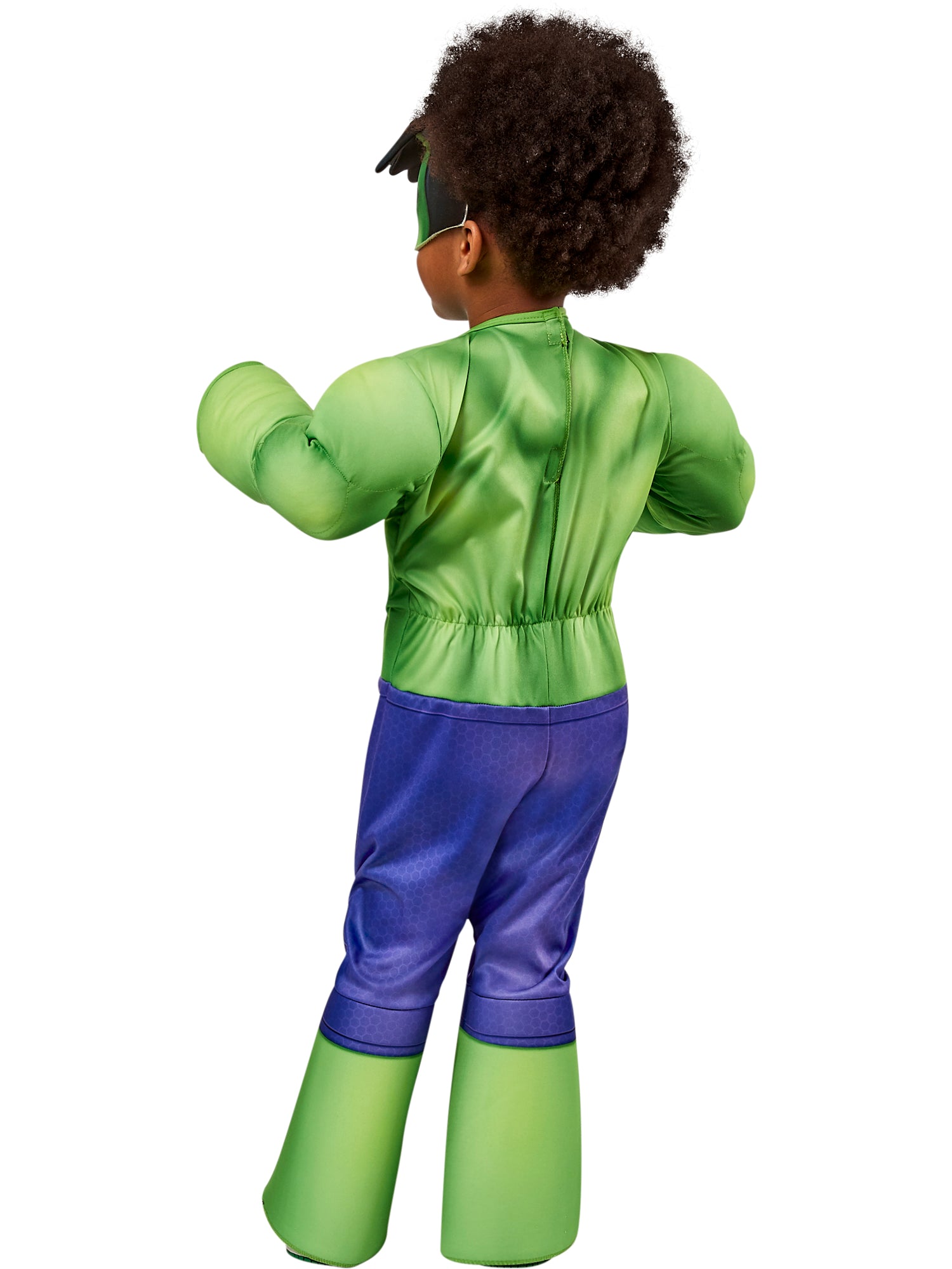 The Incredible Hulk, Multi, Marvel, Kids Costumes, Toddler, Back