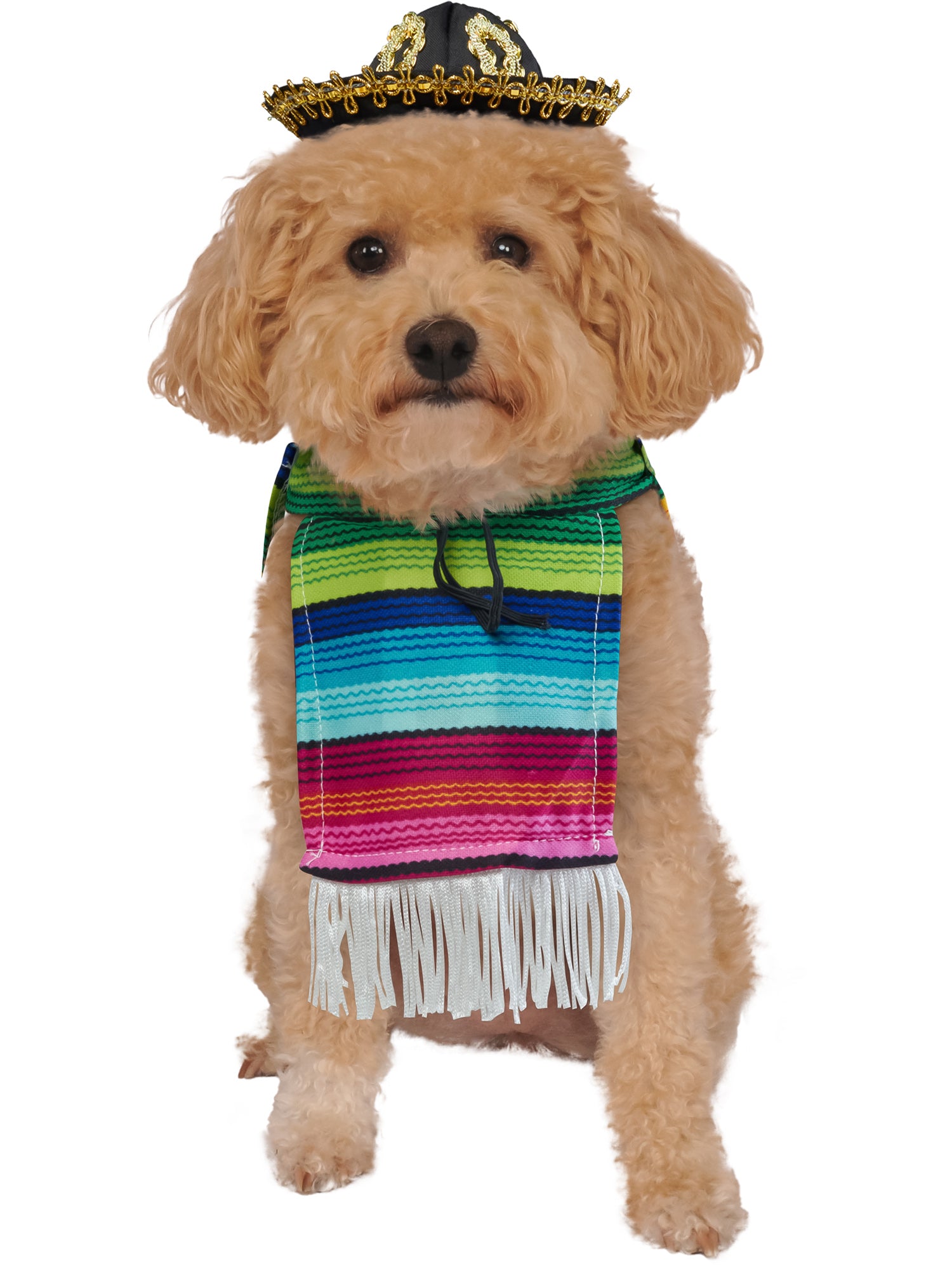 Mexican Serape Pet Costume