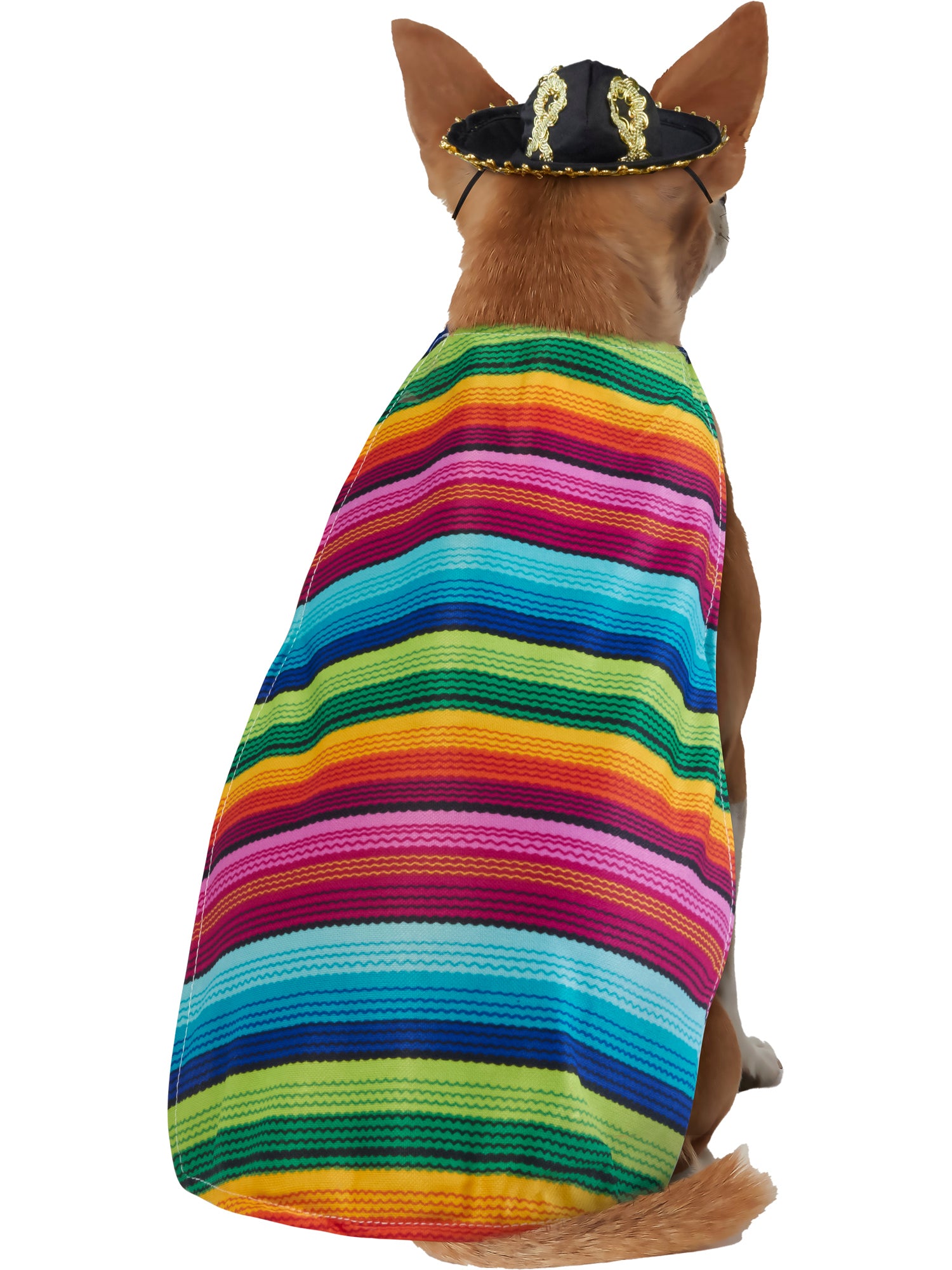 Mexican Serape Pet Costume