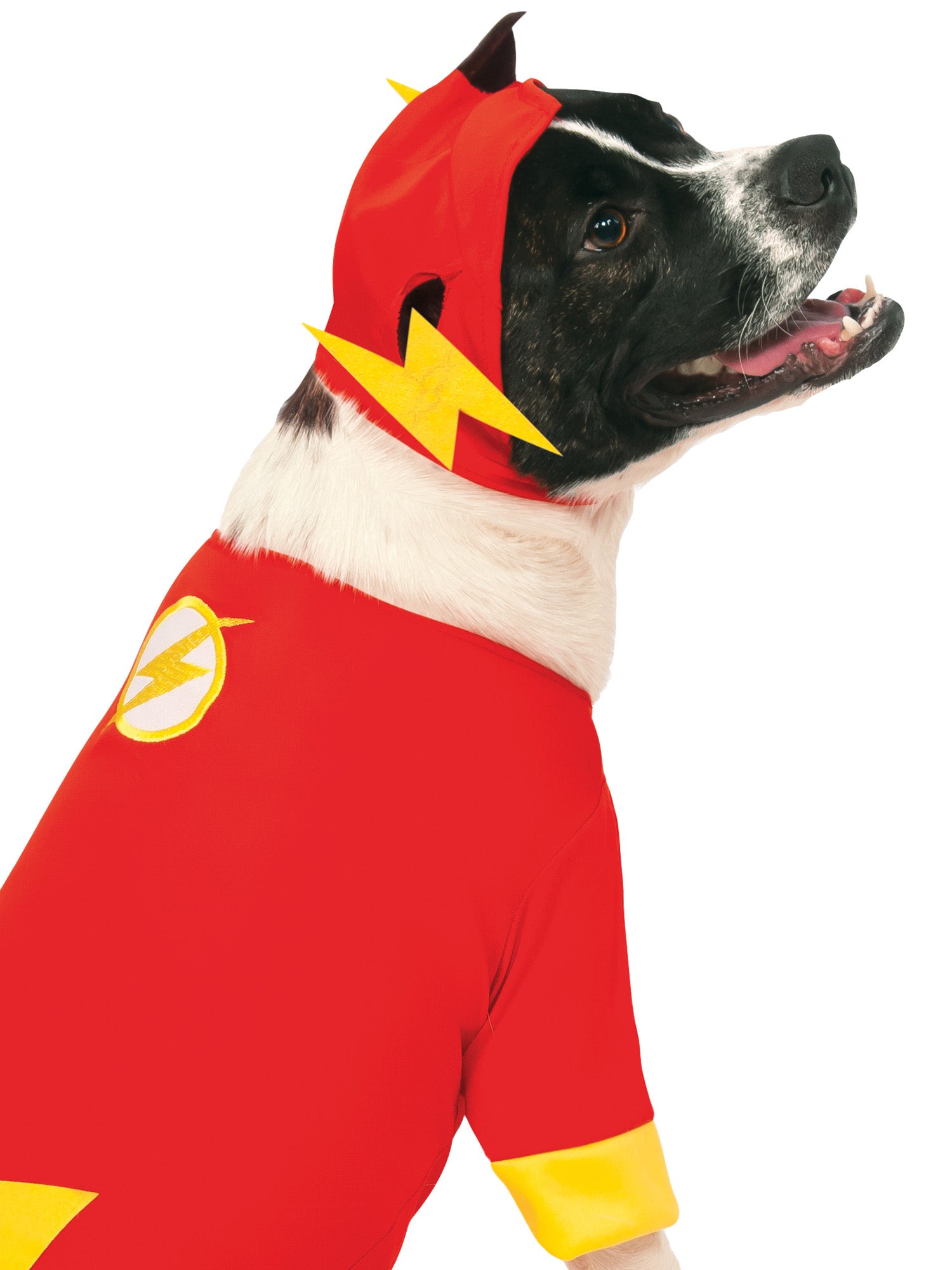 Flash Pet Costume