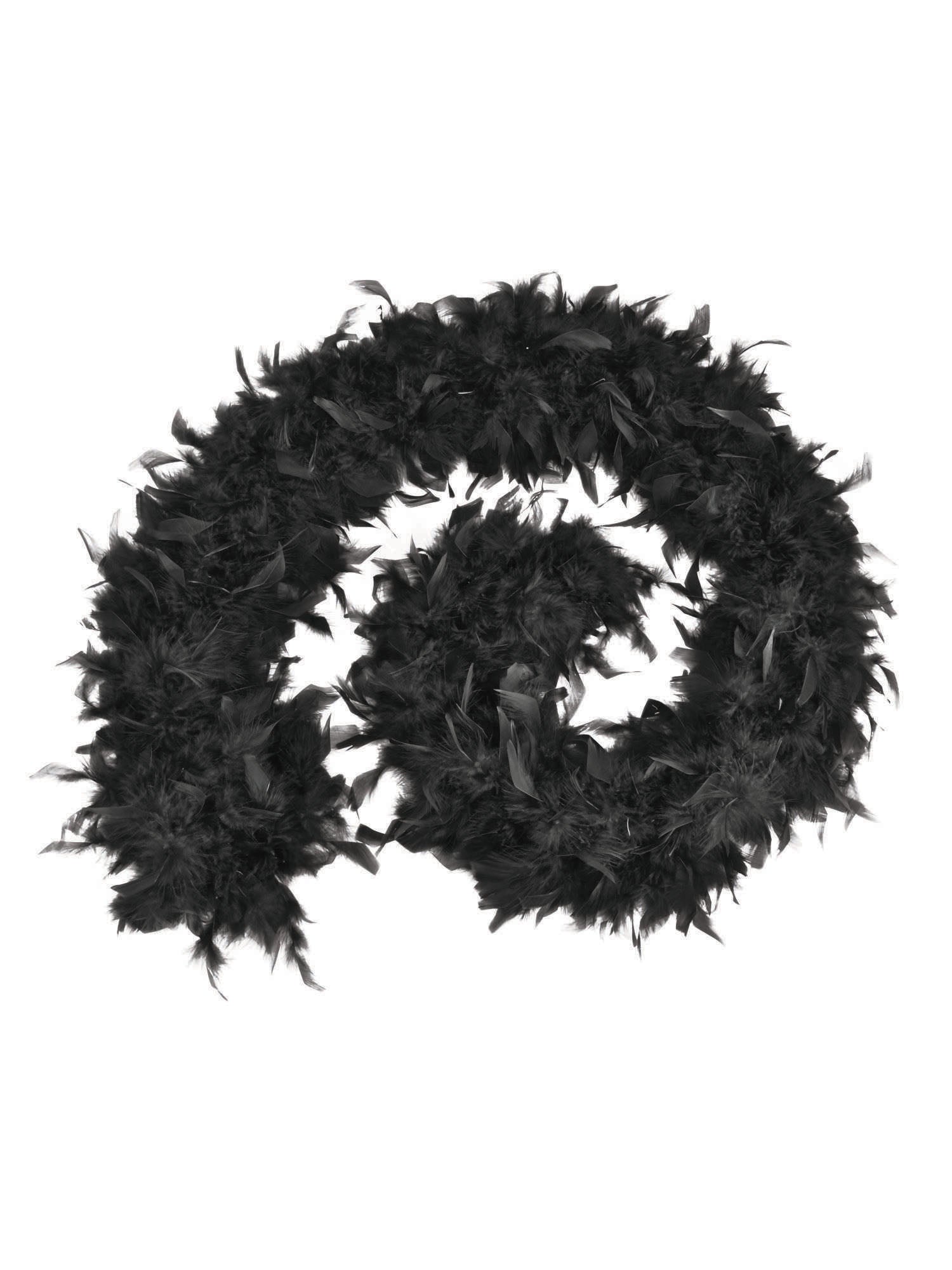 Feather Boa, Black, Forum, Accessories, One Size, Front