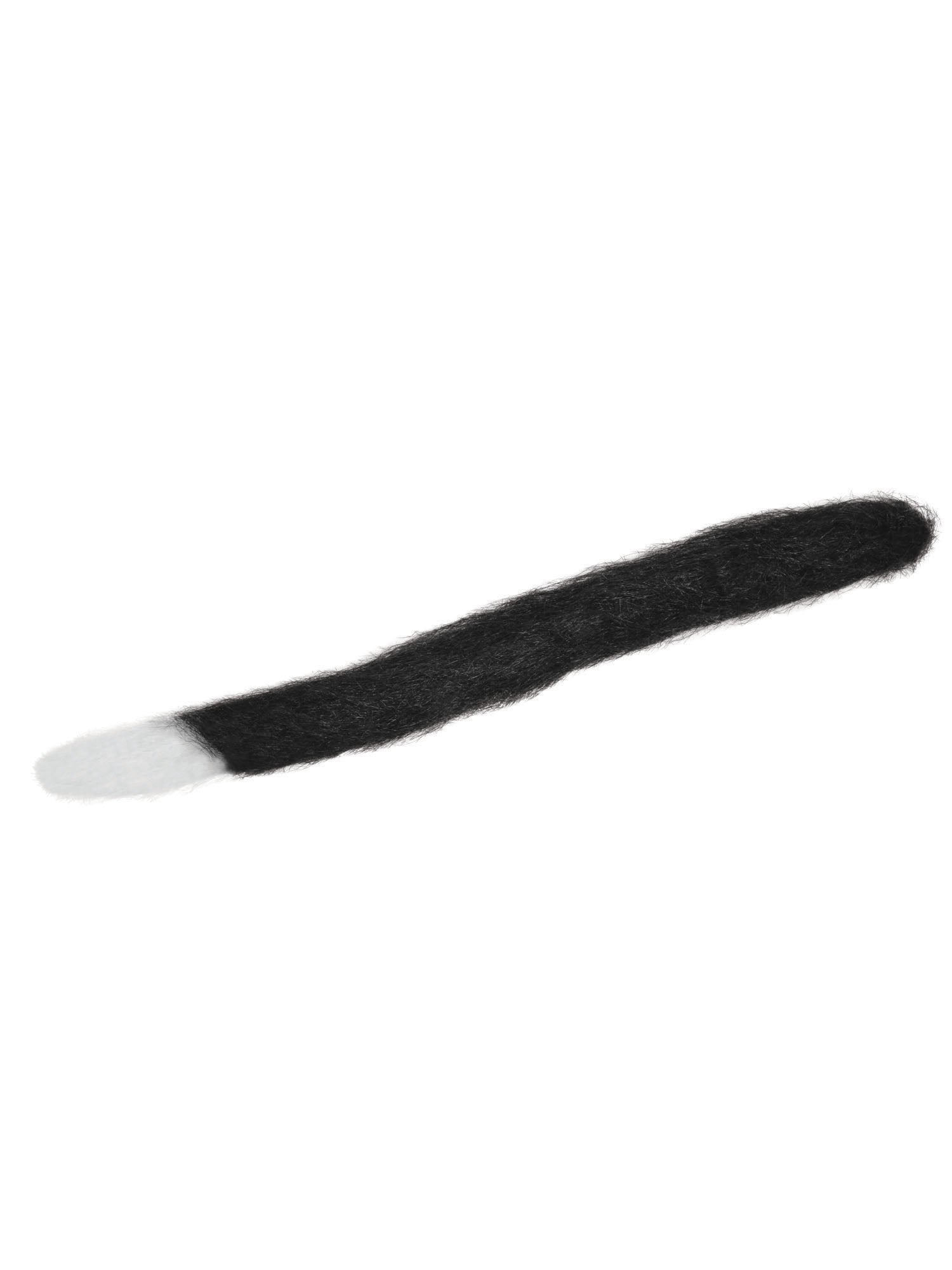 Cat, Black, Forum, Accessories, One Size, Front