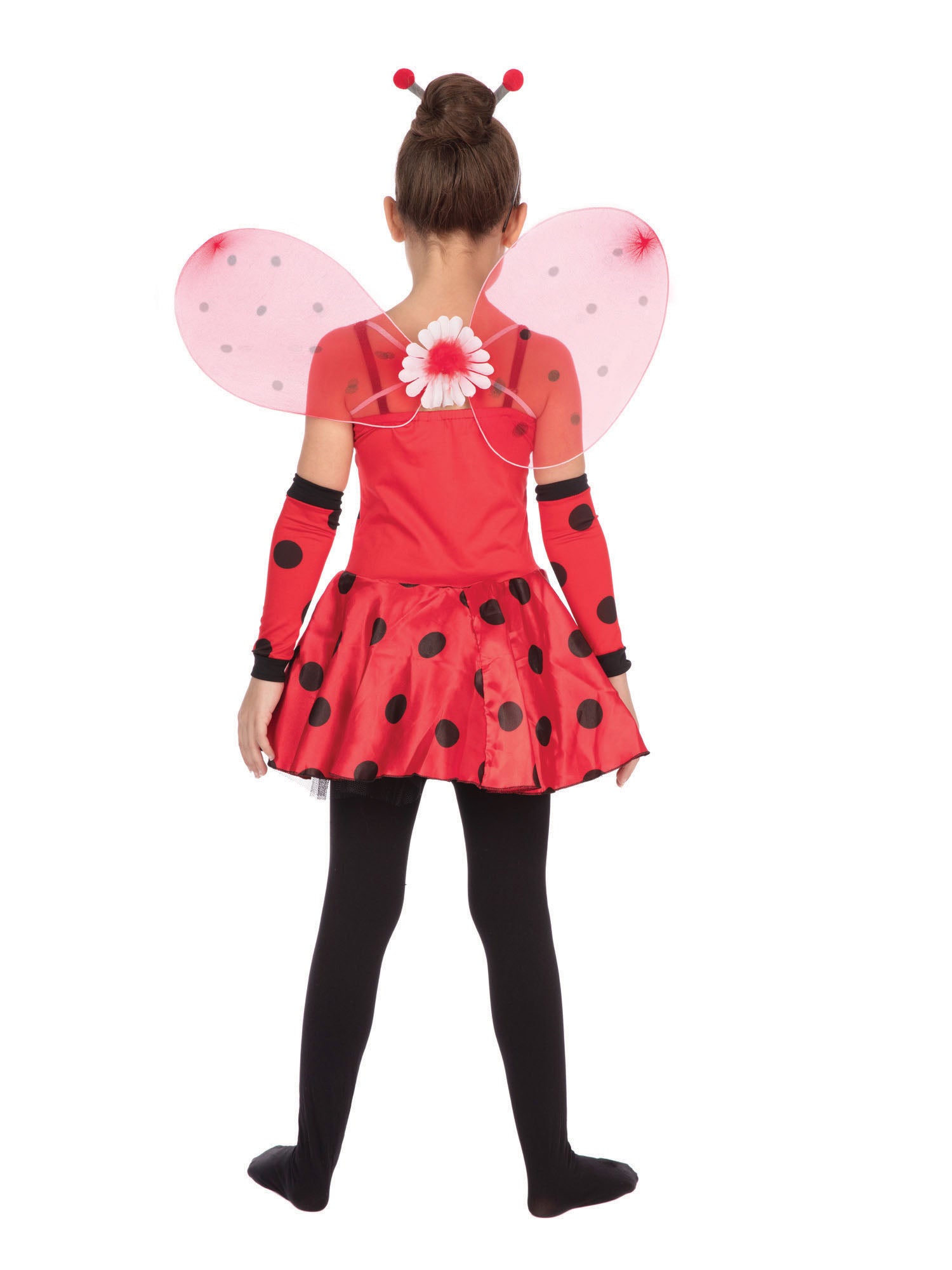 Ladybug