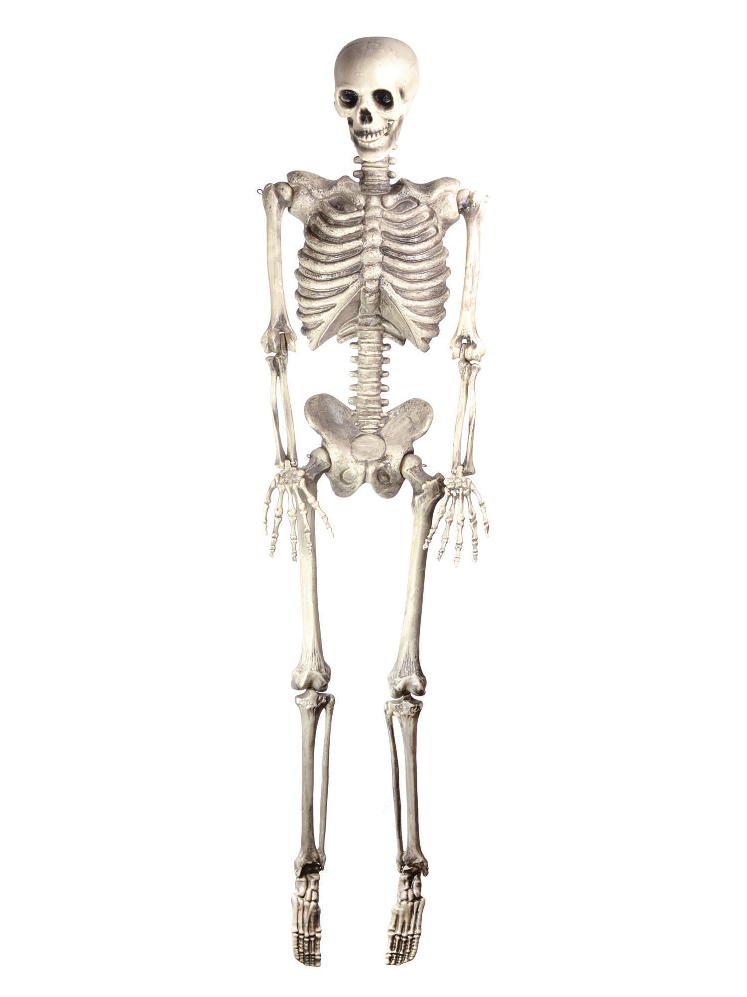 Skeleton 60In Hanging