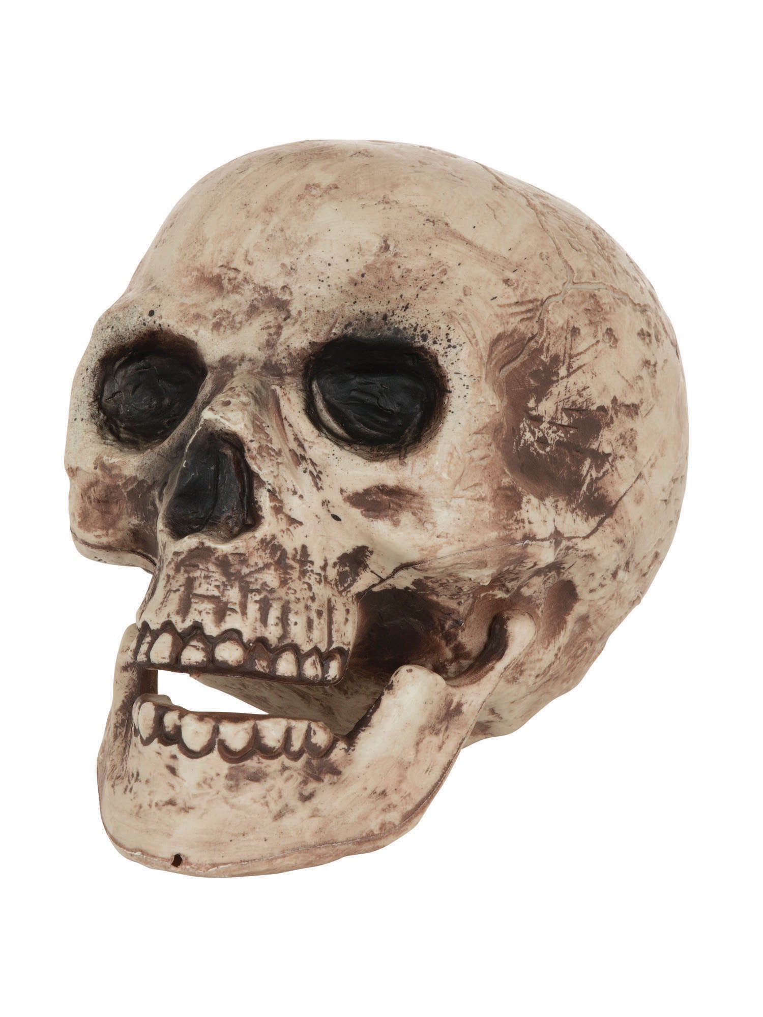 Skull Large