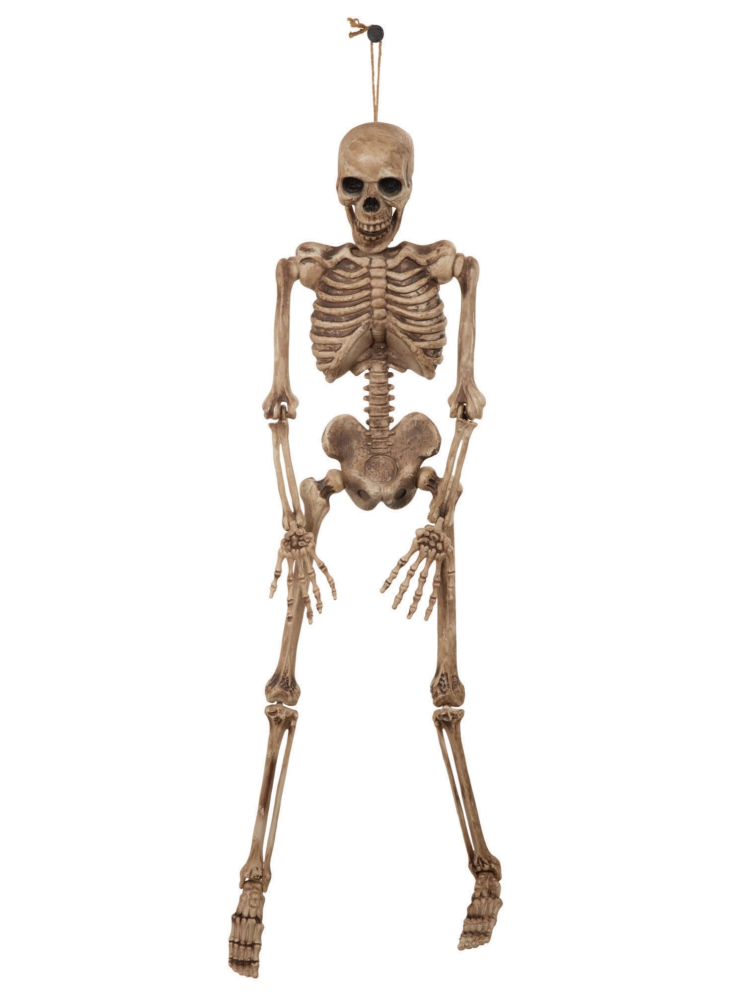 Skeleton 42 Inch / 106cm